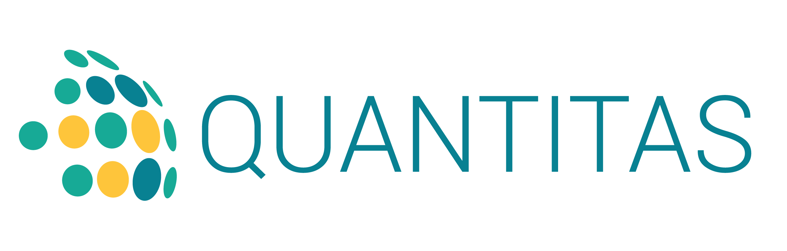 inspección técnica